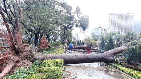 Hình ảnh miền Trung ngổn ngang trong cơn bão số 5