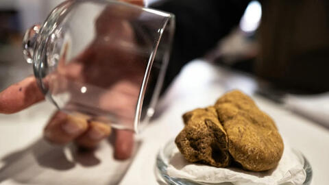 Sự tàn khốc sau món ăn xa xỉ nhất thế giới có giá "cao ngất" trong nhà hàng sang trọng: Hành động tàn ác tước đi hàng loạt sinh mạng