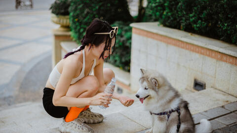 Dịch vụ đặc biệt cực "đắt khách" mỗi dịp Tết: Khách hàng tranh nhau đặt lịch trước cả tháng, giá tăng 50% vẫn chẳng còn chỗ trống