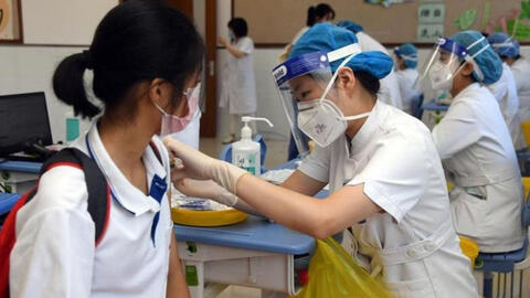 Có nên cho trẻ uống lá tía tô trước tiêm vaccine COVID-19 để giảm sốt?