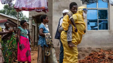 10 phát hiện khoa học đáng chú ý nhất trong năm 2020