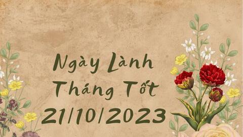 Xem ngày lành tháng tốt 21/10/2023: Trong hôm nay, bất kể việc lớn hay nhỏ đều nên cân nhắc trước khi tiến hành