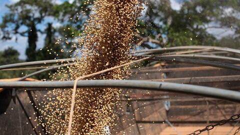 Doanh nghiệp Trung Quốc vẫn mua đậu nành Mỹ bất chấp lệnh cấm