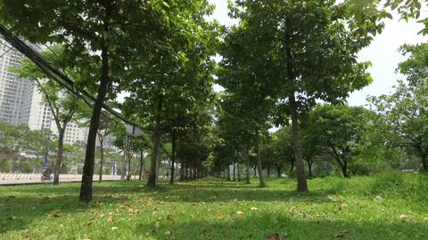 Vinamilk và hành trình 9 năm trồng cây góp phần chống biến đổi khí hậu, ô nhiễm môi trường