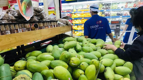 Giá một số loại xoài giảm mạnh