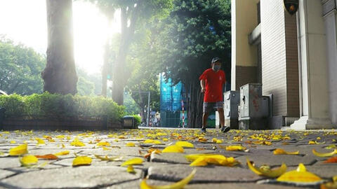 Bắc Bộ mưa to cục bộ vào chiều tối, đề phòng có lốc và gió giật mạnh