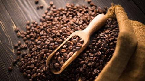 Giá xuất khẩu bình quân cà phê tháng 6/2021 đạt mức cao nhất trong ba năm