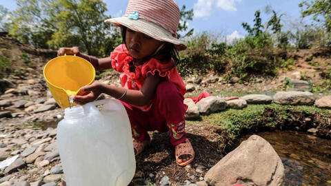 Hình ảnh người dân Ninh Thuận oằn mình chống hạn