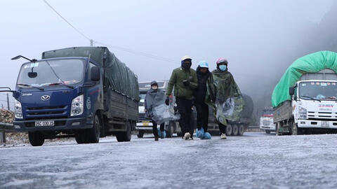 Rét đậm, rét hại làm thiệt hại hàng chục hecta hoa màu, hàng trăm vật nuôi