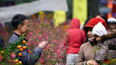 Dự báo Tết Nguyên đán Canh Tý 2020 sẽ đón rét đậm