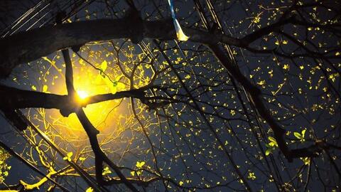 Rủ nhau đi công viên