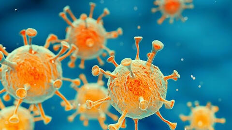 Diễn biến phức tạp của 12 biến chủng virus corona trên toàn cầu