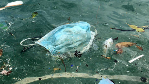Các đại dương đang bị đầu độc bởi hơn 1,5 tỷ chiếc khẩu trang y tế
