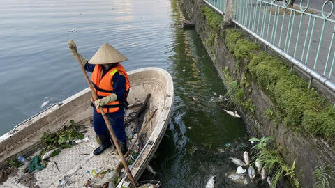 Sở Xây dựng Hà Nội nói gì về hiện tượng cá chết hàng loạt ở Hồ Tây?