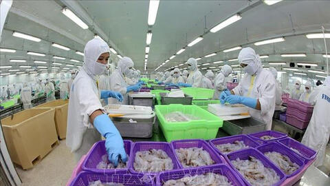 Kiểm soát dịch bệnh COVID-19 tốt giúp thu thuế xuất nhập khẩu khởi sắc