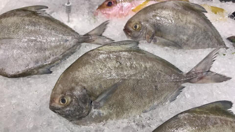 Giá thực phẩm ngày 7/10: Cá chim biển giảm 5.000 đồng/kg