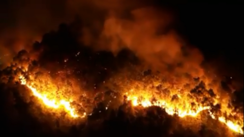 Chùm ảnh cháy rừng lịch sử ở Hà Tĩnh: Rừng thông gần 50 năm tuổi chìm trong biển lửa