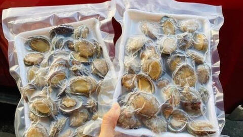 Tràn lan bào ngư Hàn Quốc giá rẻ 15.000 đồng/con, liệu có đáng tin?