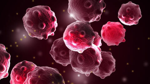 Virus đậu mùa bò có thể tiêu diệt mọi loại ung thư