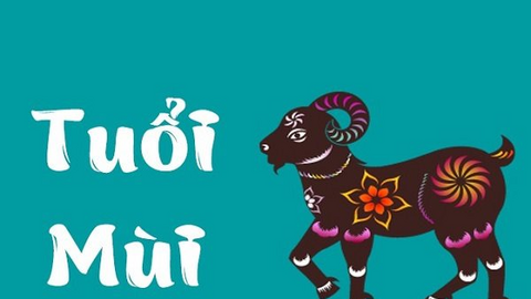 Tử vi năm 2022 tuổi Mùi: Một năm ngập tràn tiền bạc, đào hoa nở rộ