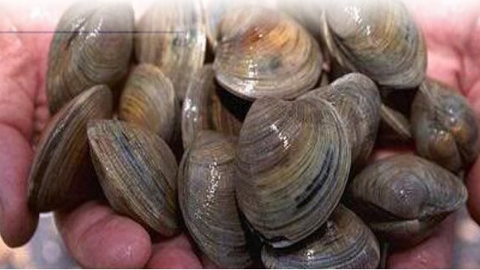 Nền kinh tế dần mở cửa, giá thủy sản các tỉnh miền Tây đang phục hồi