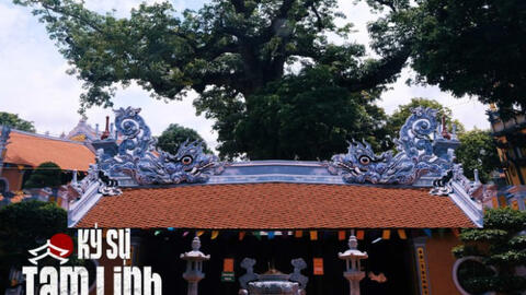 Về Hải Phòng thăm đền Mõ, nơi có cây gạo hơn 700 tuổi gắn liền với chuyện tình của nàng công chúa nổi tiếng nhất lịch sử Việt Nam