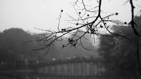 Gặp nhau những ngày hoang tàn