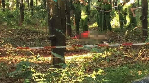 Thiếu nữ 16 tuổi chết lõa thể trong vườn cao su, nghi bị hiếp dâm rồi sát hại