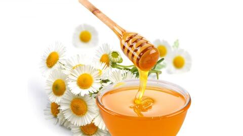 Muốn biết mật ong thật giả hãy để trong tủ lạnh 24 tiếng đồng hồ