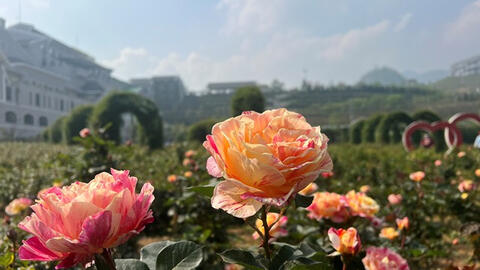 Du lịch 30/4-1/5, nhiều điểm đến tung sản phẩm mới độc đáo