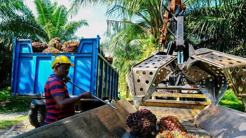 Làn sóng COVID-19 ở châu Á tiếp tục làm gián đoạn chuỗi cung ứng toàn cầu