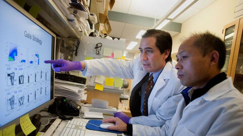 Các nhà sản xuất đánh giá hiệu quả thuốc, vaccine với biến thể Omicron