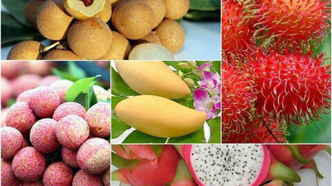 6 loại trái cây tươi ở Việt Nam "xuất ngoại" thành công