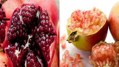 Chỉ cần nhìn điểm này là phân biệt được lựu Trung Quốc và Việt Nam