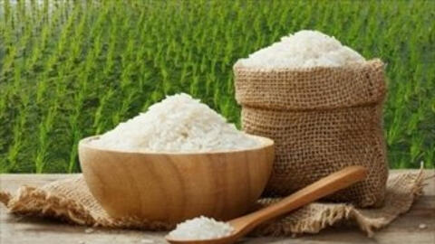 Gạo ST25 của Việt Nam được công nhận "Gạo ngon nhất thế giới năm 2019"