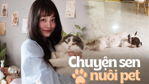 Nỗi niềm “con sen": Mỗi tháng tốn gần 5 triệu nuôi chó mèo, lỡ bị bệnh thì hết luôn 2 triệu/ tuần
