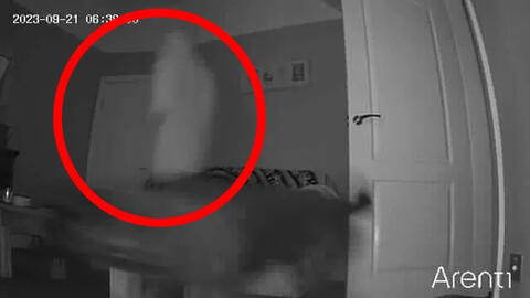 Lắp camera theo dõi thú cưng, cặp đôi phát hiện điều kỳ dị trong căn nhà cổ 135 năm tuổi
