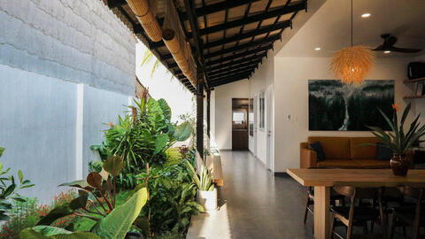 Ngôi nhà xanh ở xứ nóng Tây Ninh