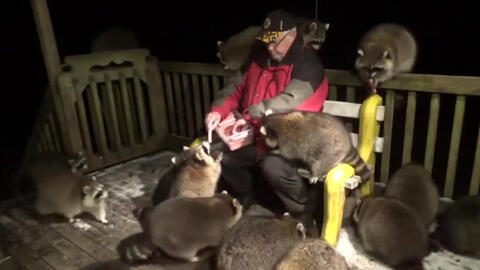 Ông lão gần 20 năm nuôi đàn gấu