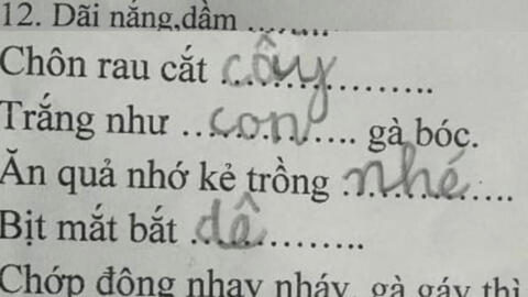 Bài kiểm tra tiếng Việt lớp 1 khiến người lớn ngậm ngùi "khó phết", đọc câu trả lời của học trò mà cười ngất