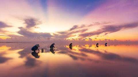 Khám phá “bãi biển vô cực” Thái Bình