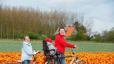 Quốc gia hạnh phúc nhất thế giới trong năm 2021