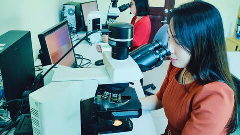 Ghi nhận mới một giống và loài tuyến trùng ký sinh thực vật nguy hại