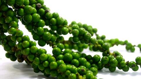 Giá tiêu cuối tuần không có nhiều biến động