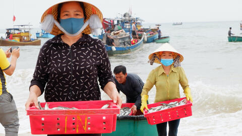 Chợ cá Nhân Trạch – nụ cười lao động sáng cùng ban mai trong nét đẹp cổ tích