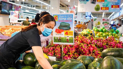 Dưa hấu rớt giá có nơi chỉ còn 2.000 đồng/kg vẫn không có người mua