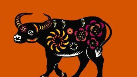 Gia chủ tuổi Đinh Sửu 1997, nên chọn tuổi nào xông đất tốt nhất 2021?