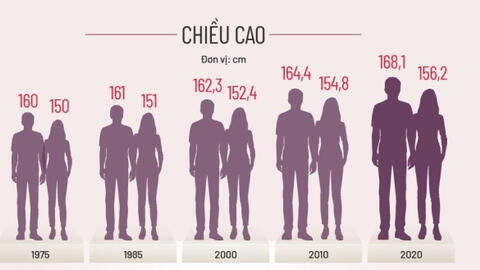Đàn ông Việt Nam tăng khoảng 4 cm chiều cao trong 10 năm qua