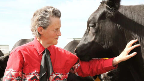 Temple Grandin: Tượng đài sống của những người tự kỷ
