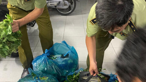 Hàng ngàn gói thuốc lá lậu giấu trong rau xanh